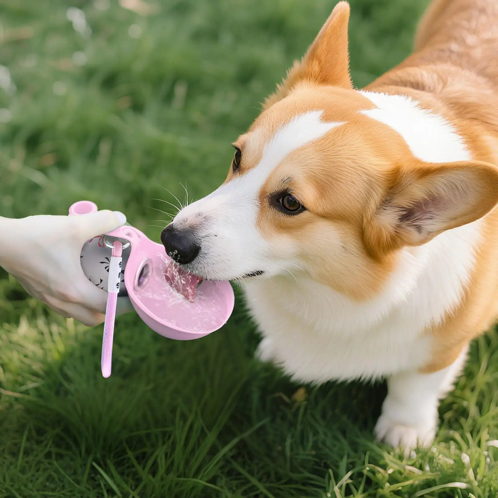 2-in-1 Travel Water Bottle for Small Dogs
